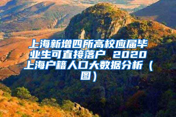 上海新增四所高校应届毕业生可直接落户 2020上海户籍人口大数据分析（图）