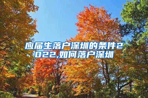 应届生落户深圳的条件2022,如何落户深圳