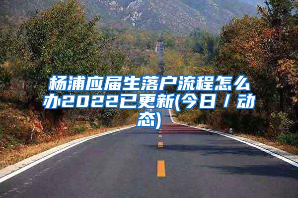 杨浦应届生落户流程怎么办2022已更新(今日／动态)