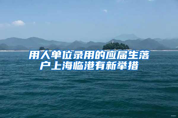用人单位录用的应届生落户上海临港有新举措