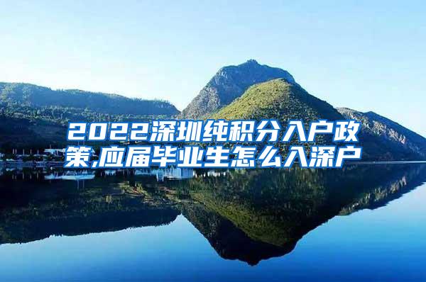 2022深圳纯积分入户政策,应届毕业生怎么入深户