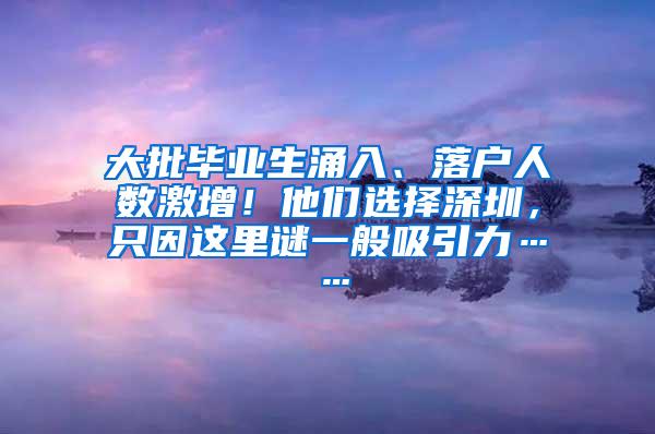 大批毕业生涌入、落户人数激增！他们选择深圳，只因这里谜一般吸引力……