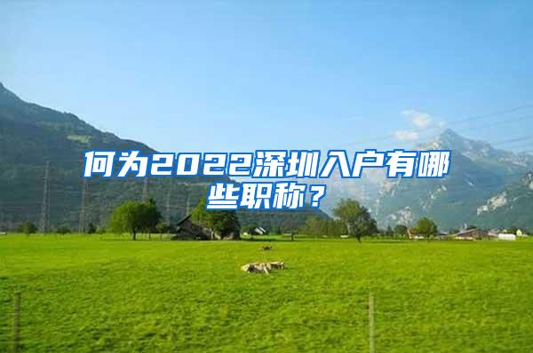 何为2022深圳入户有哪些职称？