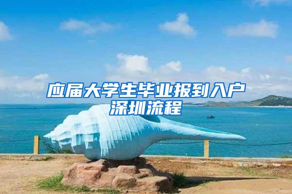 应届大学生毕业报到入户深圳流程