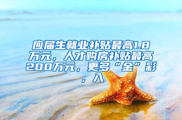 应届生就业补贴最高1.8万元，人才购房补贴最高200万元，更多“金”彩，入↓