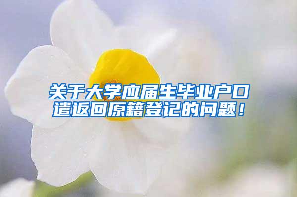 关于大学应届生毕业户口遣返回原籍登记的问题！