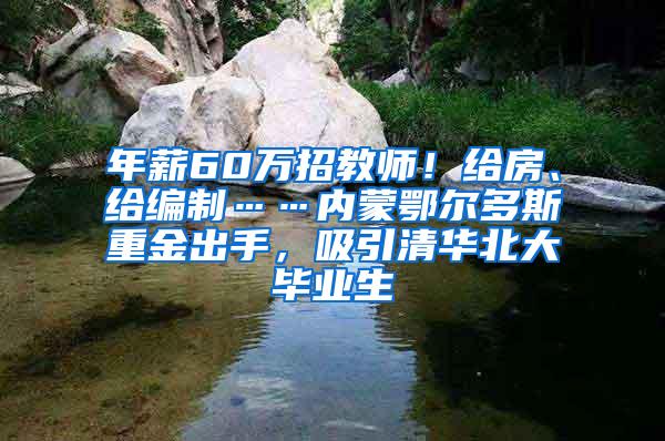 年薪60万招教师！给房、给编制……内蒙鄂尔多斯重金出手，吸引清华北大毕业生