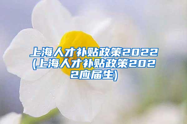 上海人才补贴政策2022(上海人才补贴政策2022应届生)