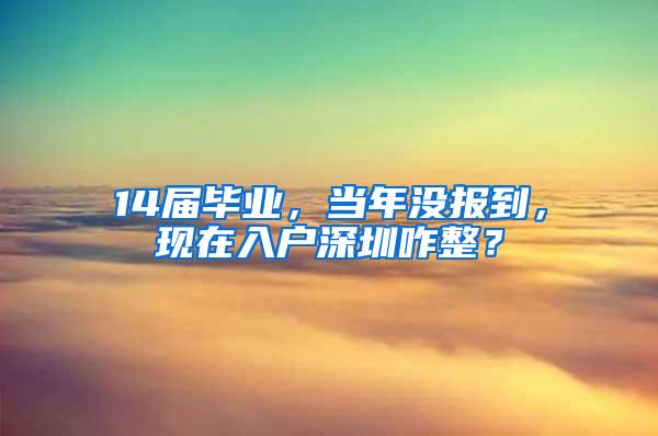 14届毕业，当年没报到，现在入户深圳咋整？