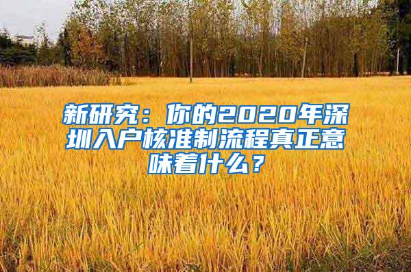 新研究：你的2020年深圳入户核准制流程真正意味着什么？