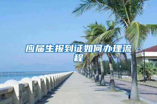 应届生报到证如何办理流程