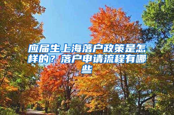 应届生上海落户政策是怎样的？落户申请流程有哪些