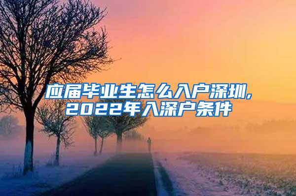 应届毕业生怎么入户深圳,2022年入深户条件