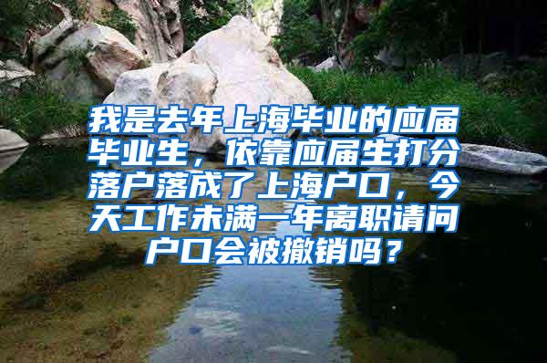 我是去年上海毕业的应届毕业生，依靠应届生打分落户落成了上海户口，今天工作未满一年离职请问户口会被撤销吗？