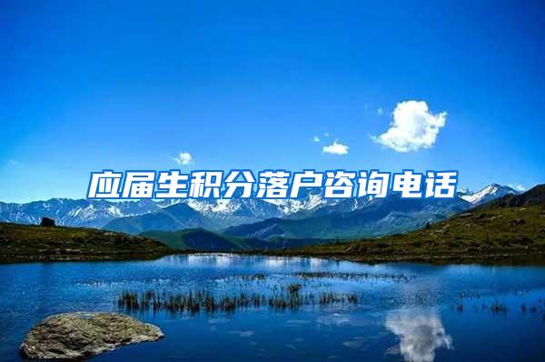 应届生积分落户咨询电话