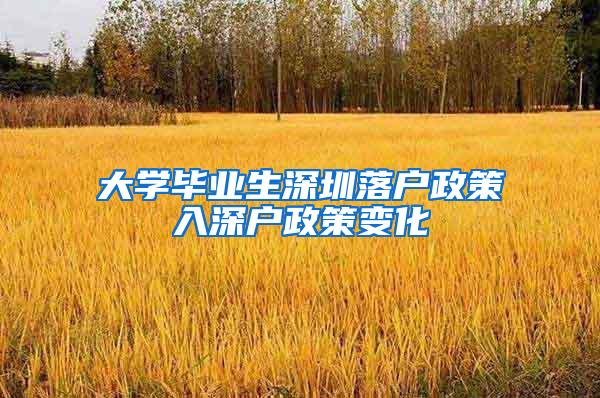 大学毕业生深圳落户政策入深户政策变化