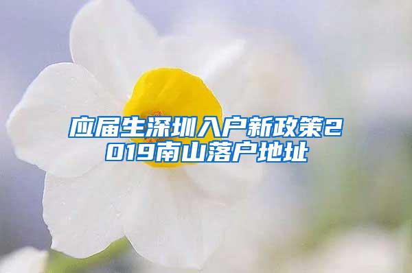 应届生深圳入户新政策2019南山落户地址