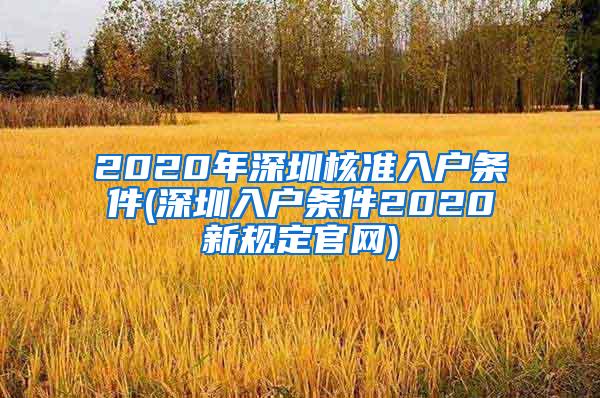 2020年深圳核准入户条件(深圳入户条件2020新规定官网)