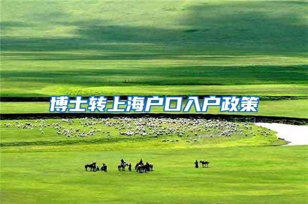 博士转上海户口入户政策