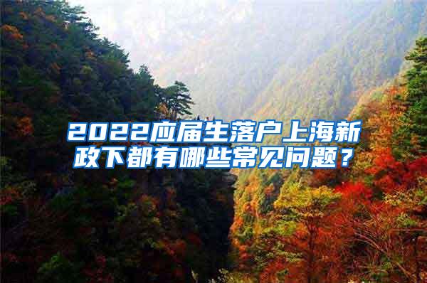 2022应届生落户上海新政下都有哪些常见问题？