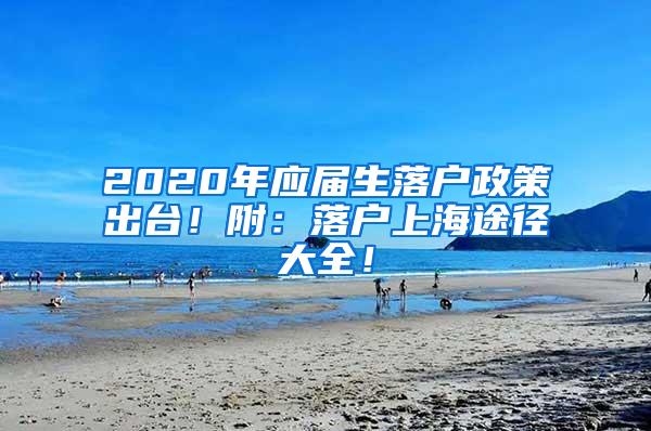 2020年应届生落户政策出台！附：落户上海途径大全！