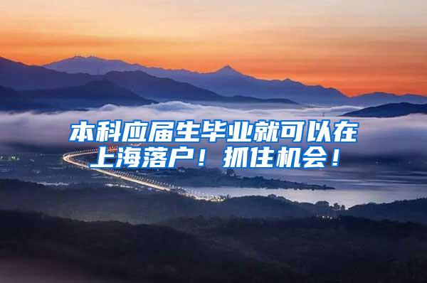 本科应届生毕业就可以在上海落户！抓住机会！