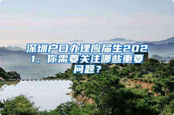 深圳户口办理应届生2021，你需要关注哪些重要问题？