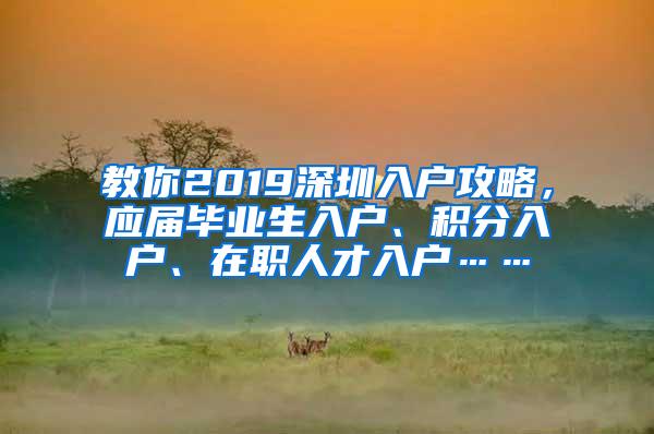 教你2019深圳入户攻略，应届毕业生入户、积分入户、在职人才入户……