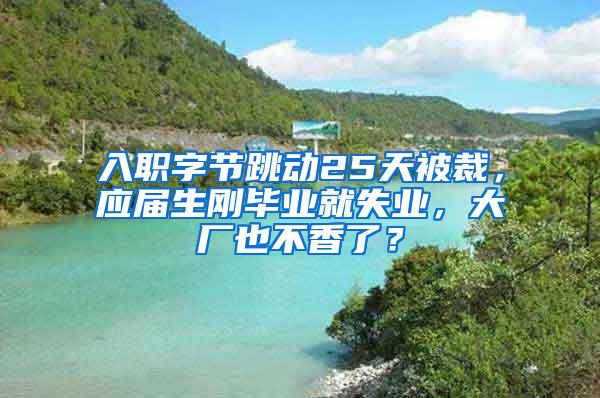 入职字节跳动25天被裁，应届生刚毕业就失业，大厂也不香了？