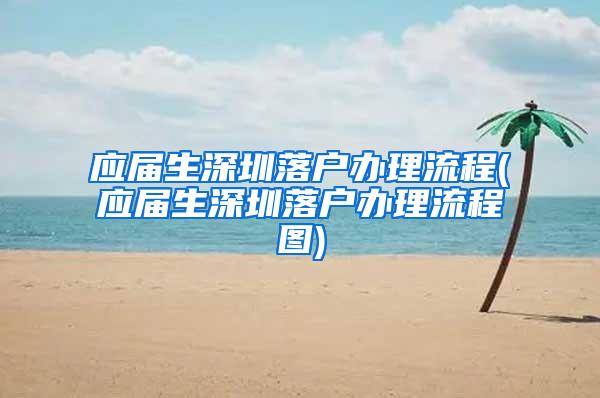 应届生深圳落户办理流程(应届生深圳落户办理流程图)