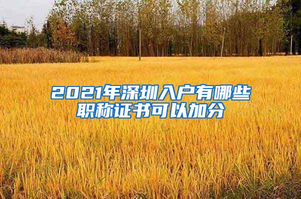 2021年深圳入户有哪些职称证书可以加分