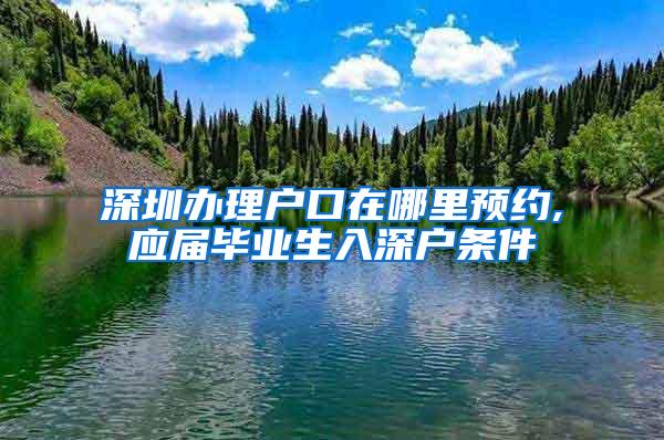 深圳办理户口在哪里预约,应届毕业生入深户条件