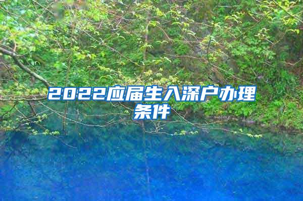 2022应届生入深户办理条件