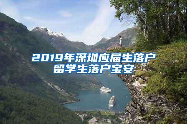 2019年深圳应届生落户留学生落户宝安