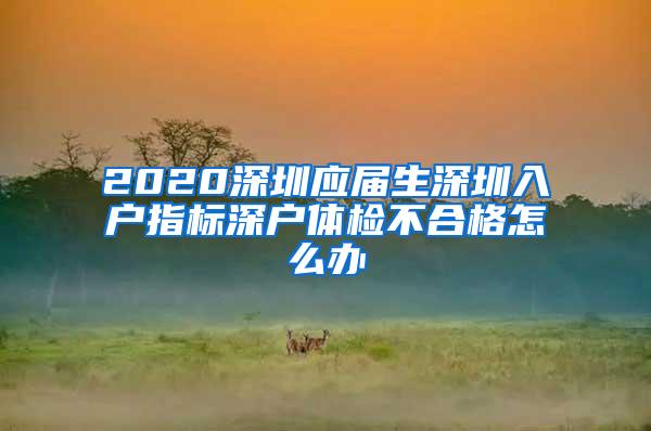 2020深圳应届生深圳入户指标深户体检不合格怎么办