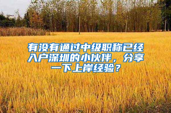 有没有通过中级职称已经入户深圳的小伙伴，分享一下上岸经验？