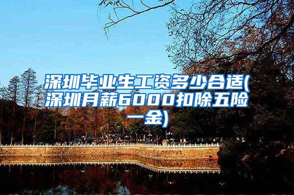 深圳毕业生工资多少合适(深圳月薪6000扣除五险一金)