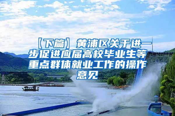 【下篇】黄浦区关于进一步促进应届高校毕业生等重点群体就业工作的操作意见