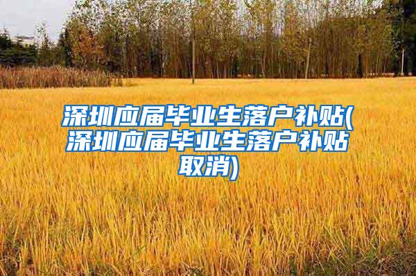 深圳应届毕业生落户补贴(深圳应届毕业生落户补贴取消)