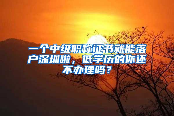 一个中级职称证书就能落户深圳啦，低学历的你还不办理吗？