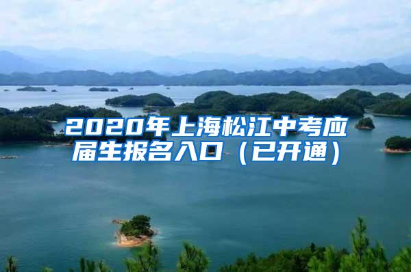 2020年上海松江中考应届生报名入口（已开通）