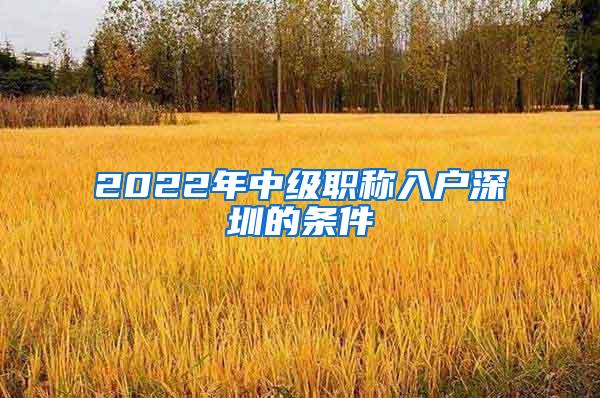 2022年中级职称入户深圳的条件