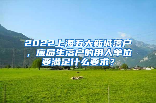 2022上海五大新城落户，应届生落户的用人单位要满足什么要求？