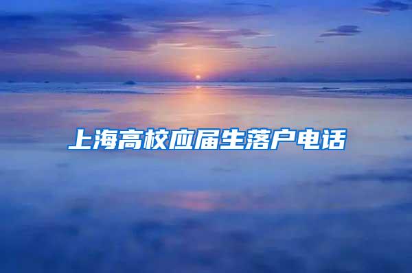 上海高校应届生落户电话