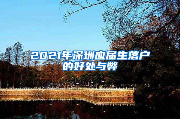 2021年深圳应届生落户的好处与弊