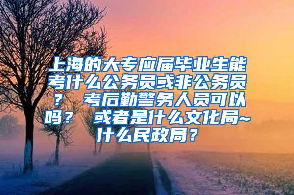 上海的大专应届毕业生能考什么公务员或非公务员？ 考后勤警务人员可以吗？ 或者是什么文化局~什么民政局？