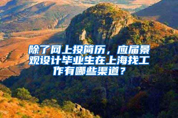 除了网上投简历，应届景观设计毕业生在上海找工作有哪些渠道？