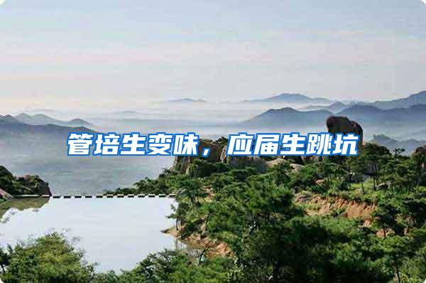 管培生变味，应届生跳坑