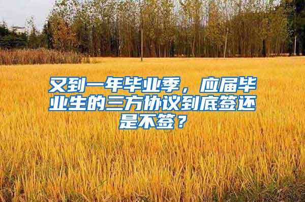 又到一年毕业季，应届毕业生的三方协议到底签还是不签？