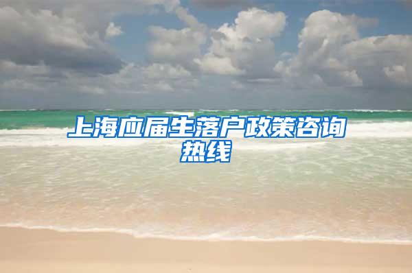 上海应届生落户政策咨询热线